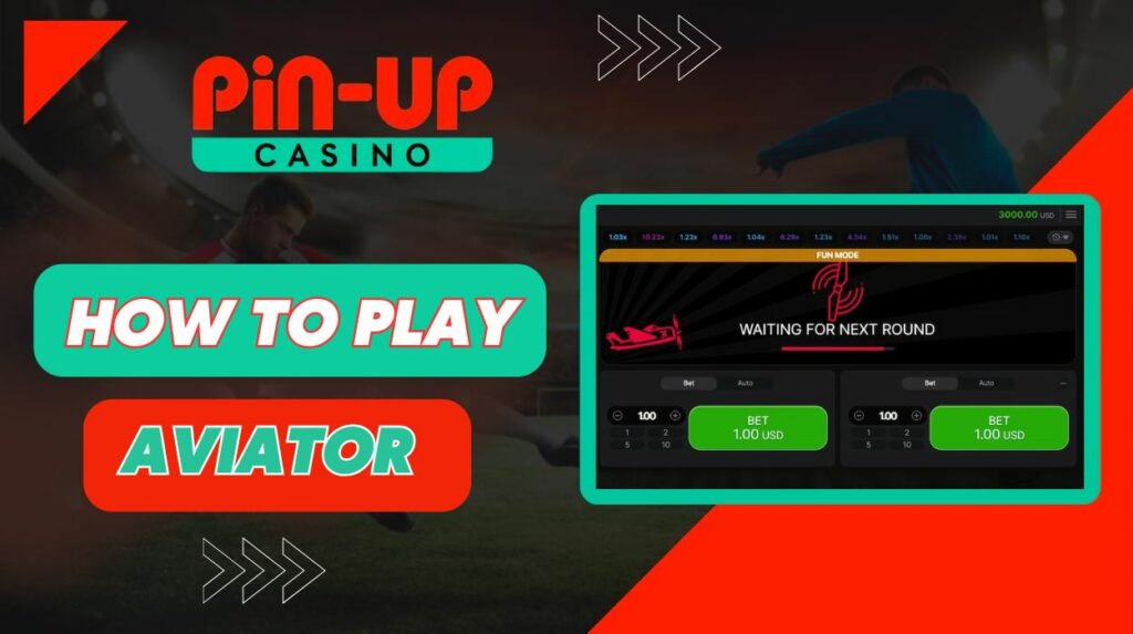 Pin-Up Casino India how to play aviator game