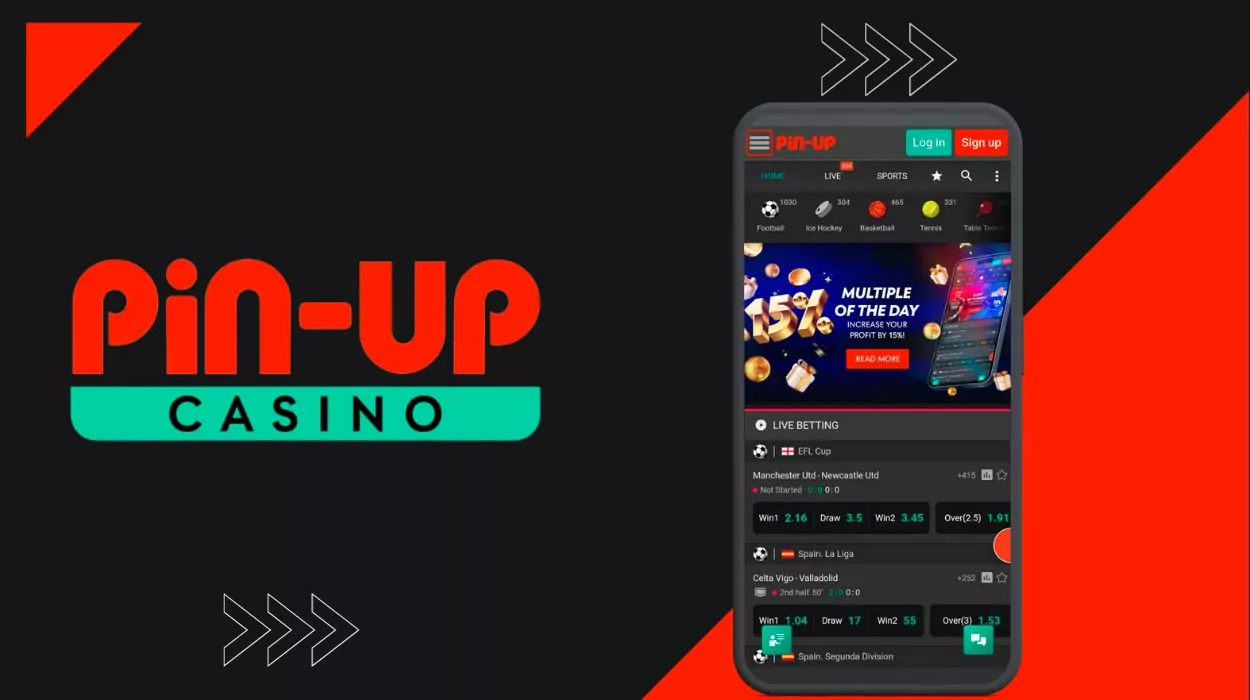 Take advantage of the gambling company's services with the Pin Up India!